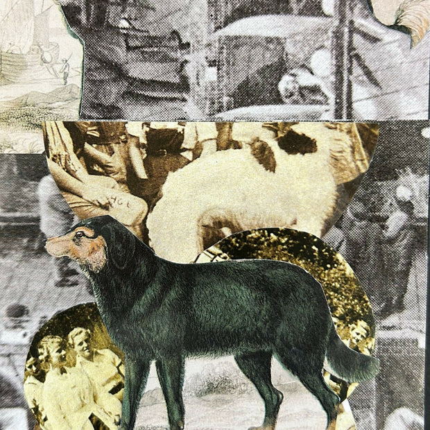 Dog Collage #3