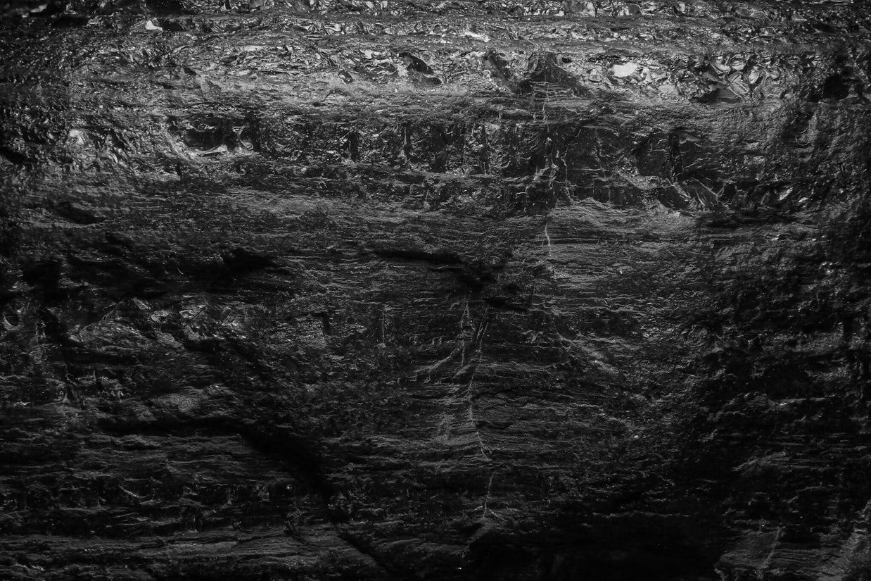 Charcoal 2