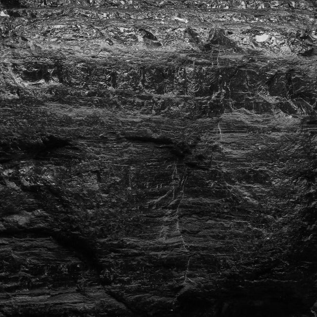 Charcoal 2