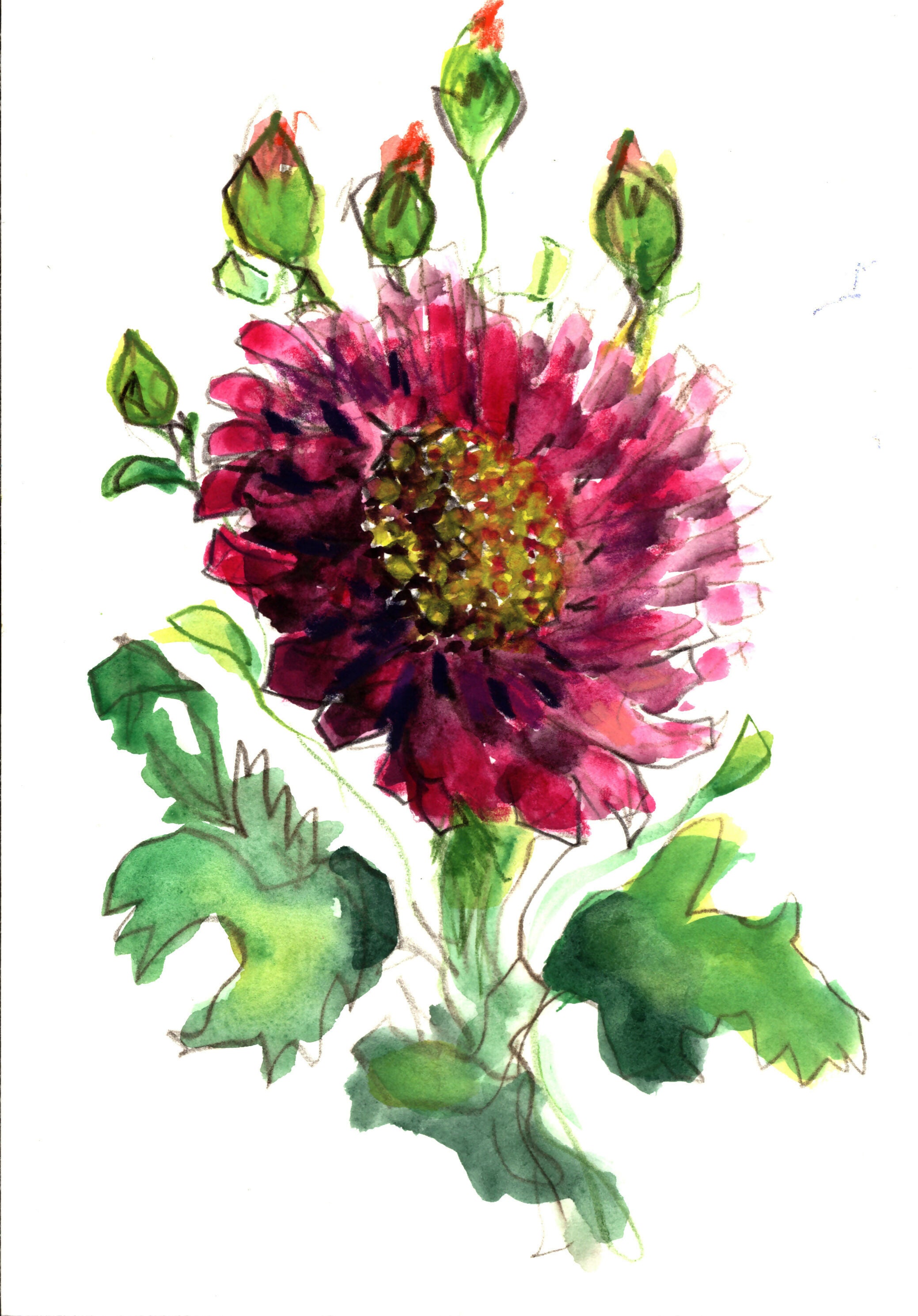 Flower Bloom, 7 x 10 unframed