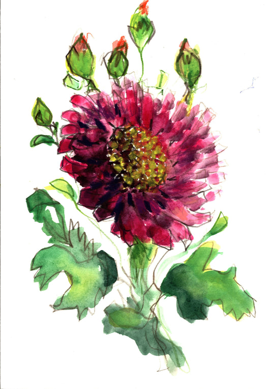 Flower Bloom, 7 x 10 unframed