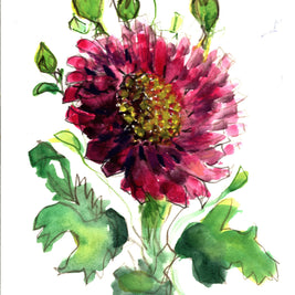 Flower Bloom, 7 x 10 unframed