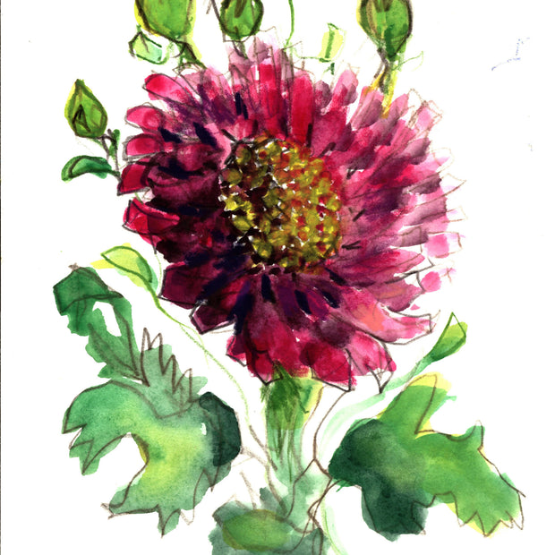 Flower Bloom, 7 x 10 unframed