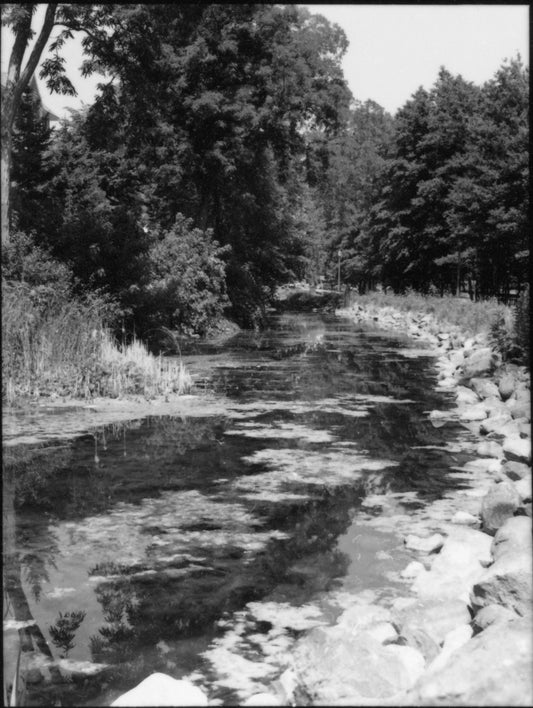 Central North Carolina