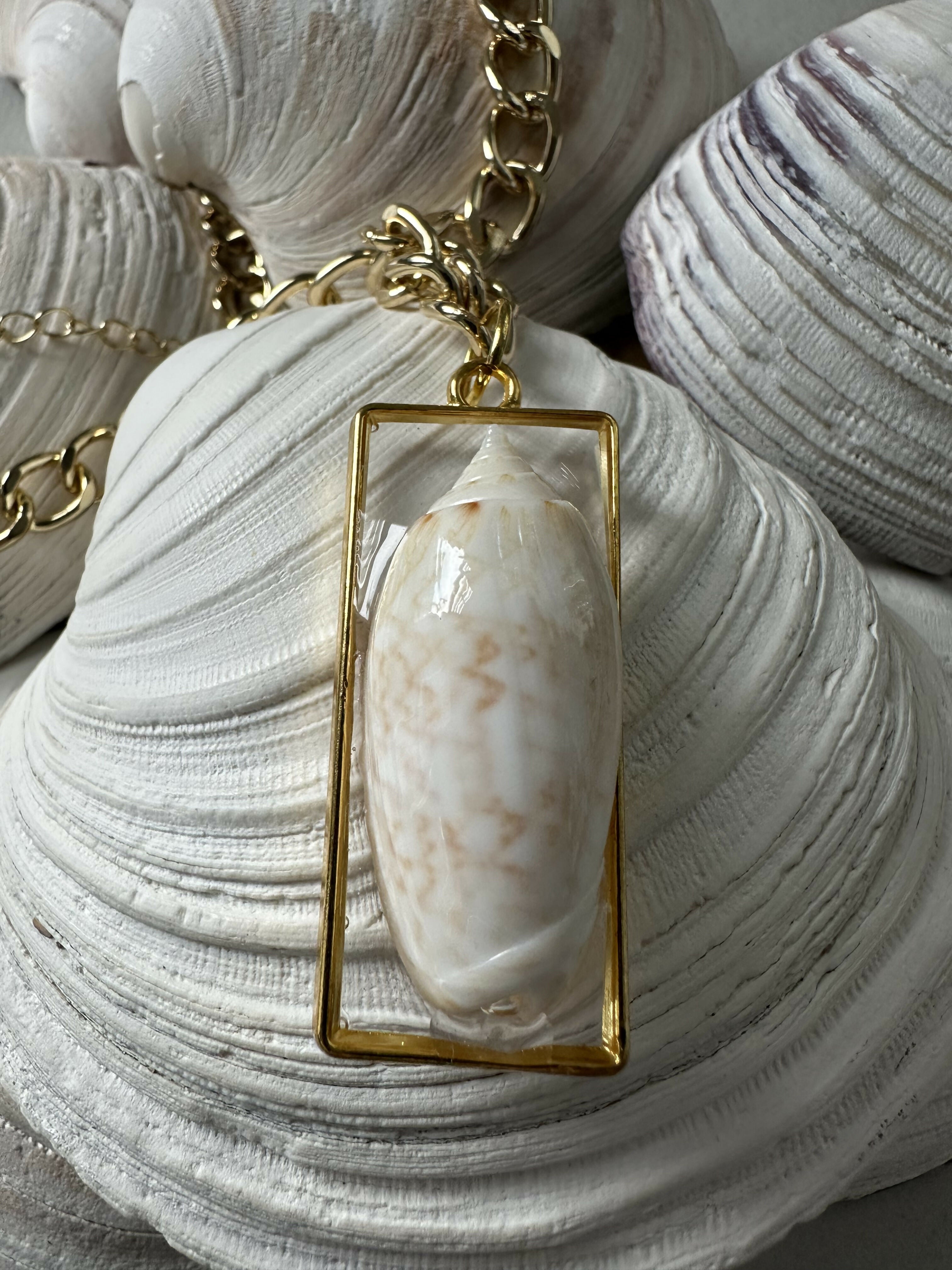 Lettered Olive Shell Pendant Necklace