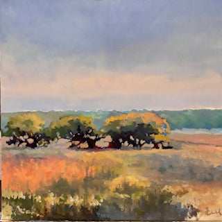 Oak Savannah: Fall