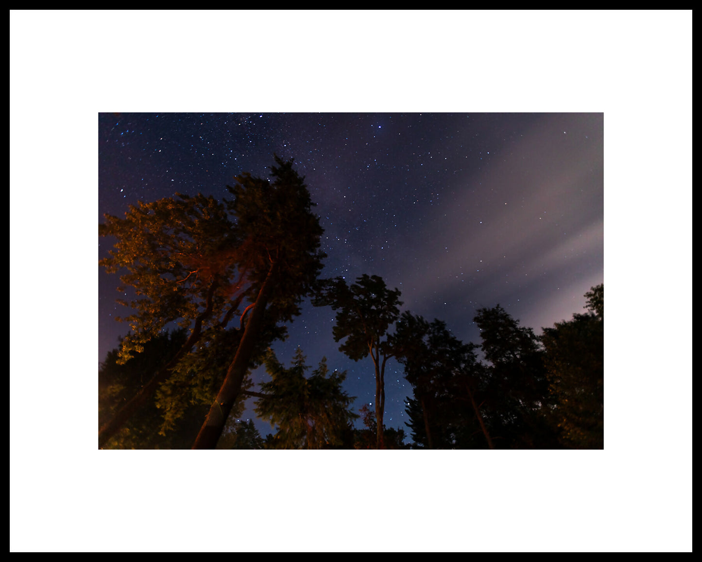 Campfire & Stars 2022