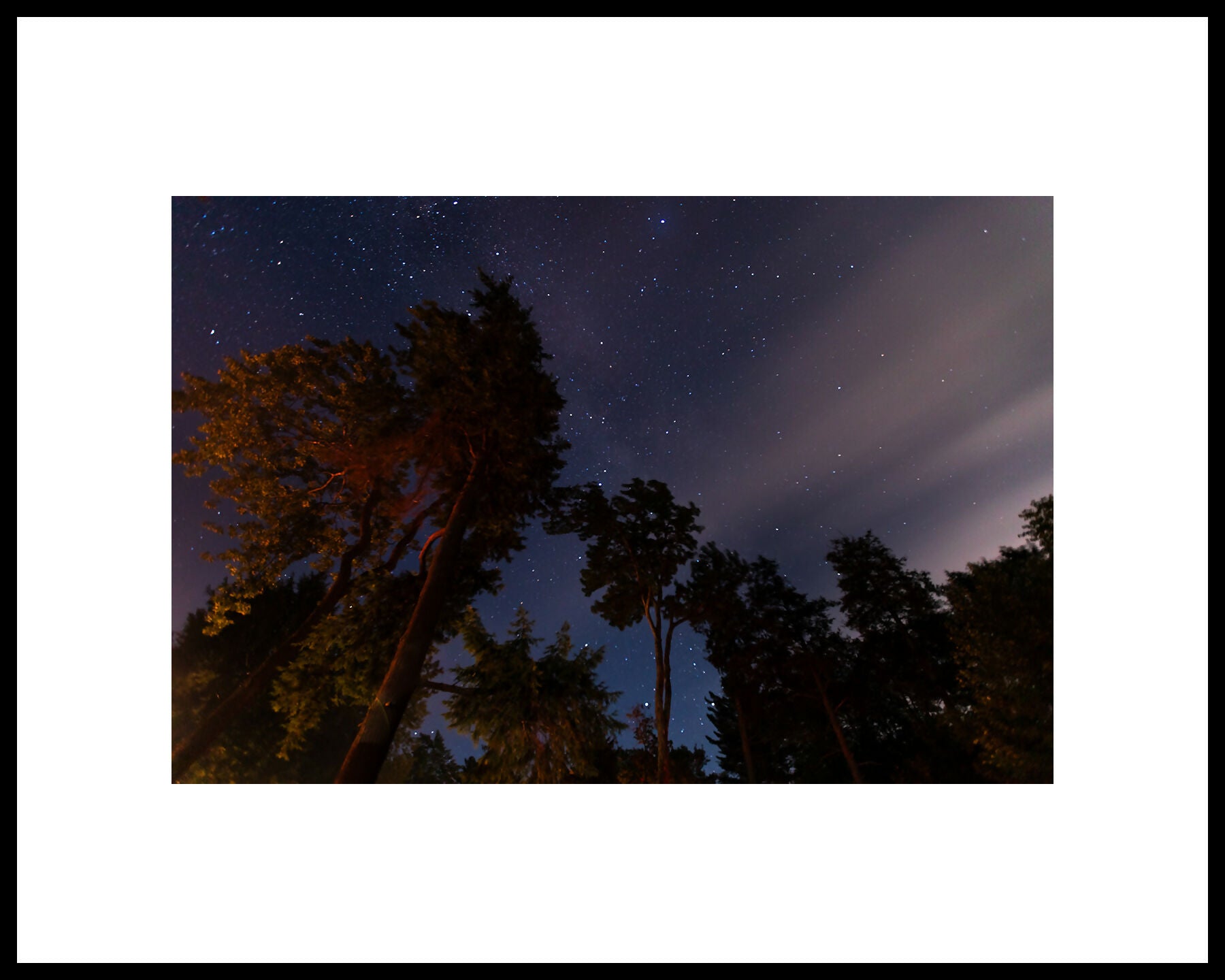 Campfire & Stars 2022