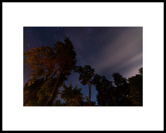 Campfire & Stars 2022