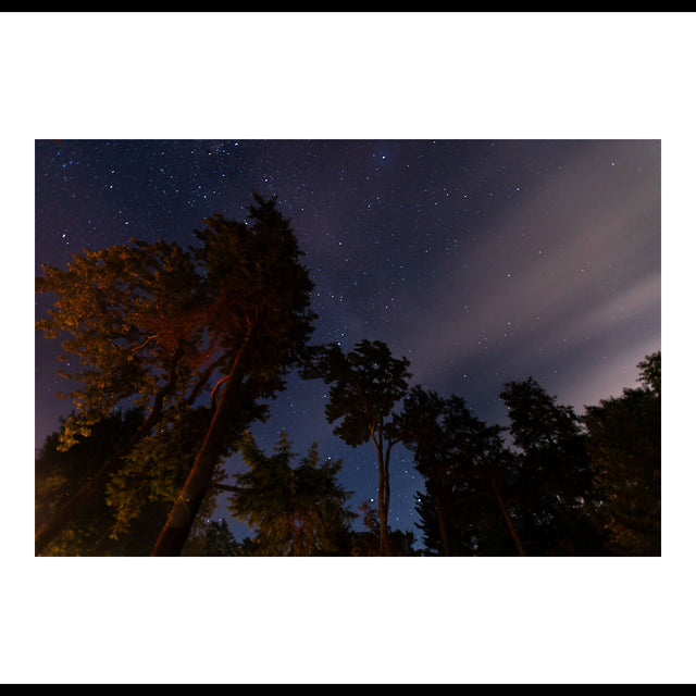 Campfire & Stars 2022
