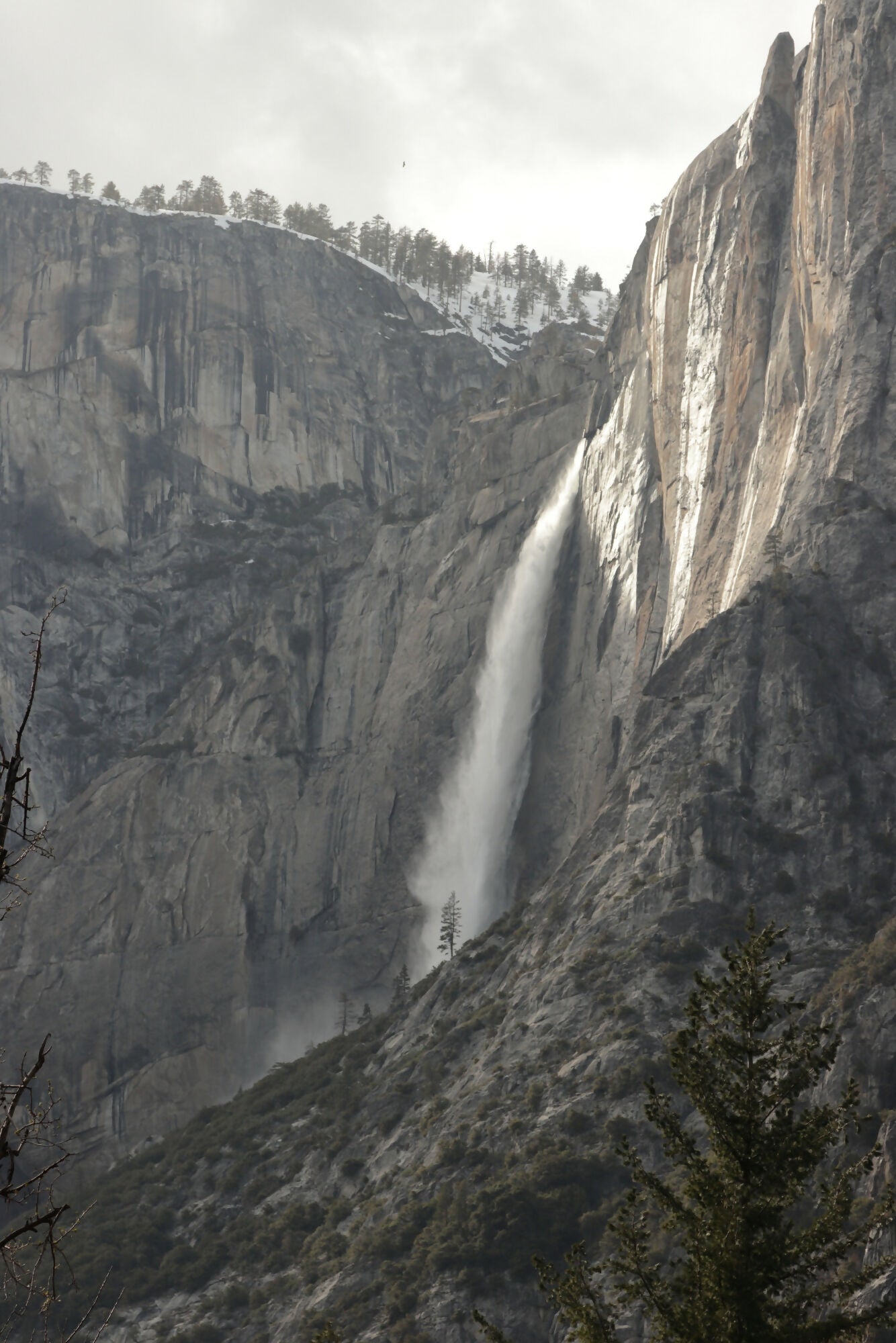 Yosemite Fall_6237