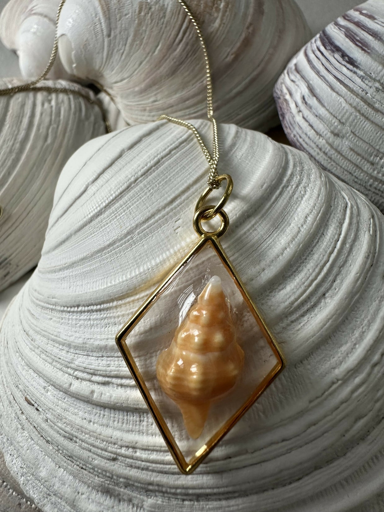 Baby Horse Conch Shell Pendant Necklace