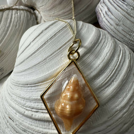 Baby Horse Conch Shell Pendant Necklace
