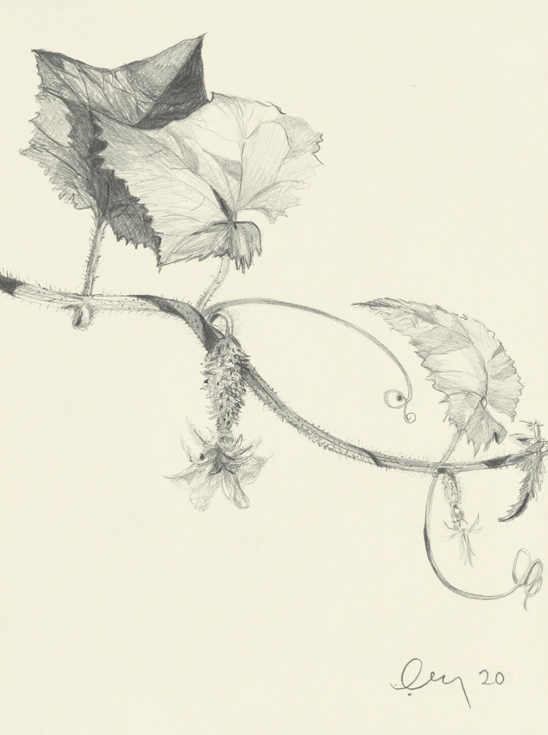 "Opportunity" framed print