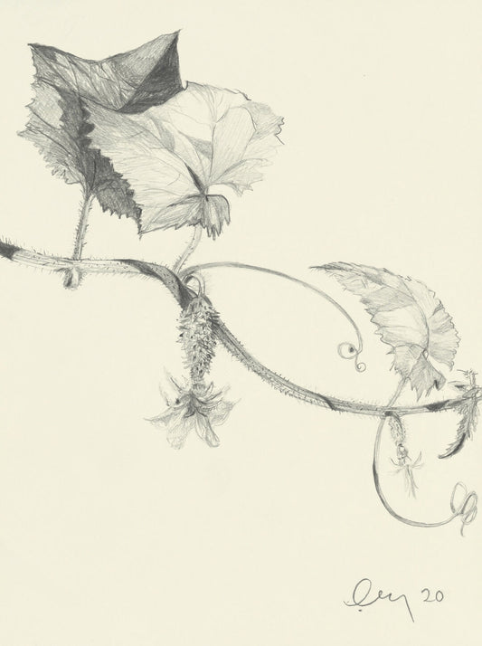 "Opportunity" framed print