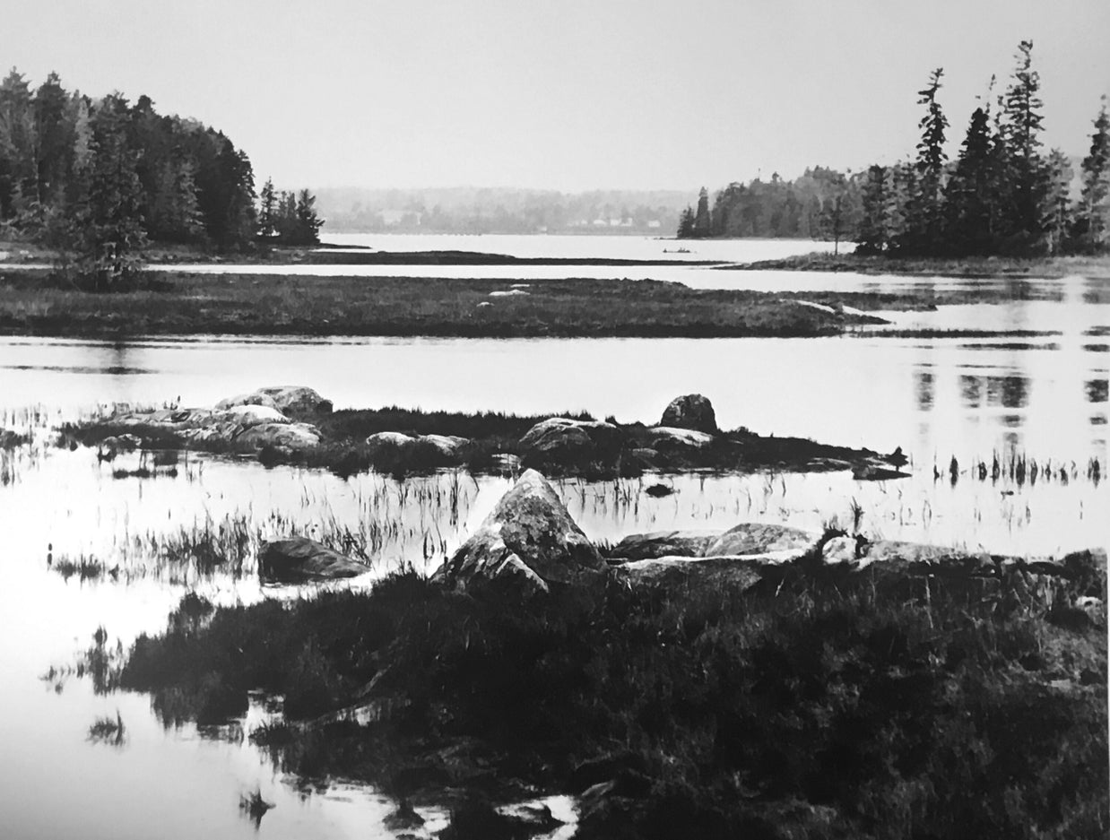 Acadia National Park #2