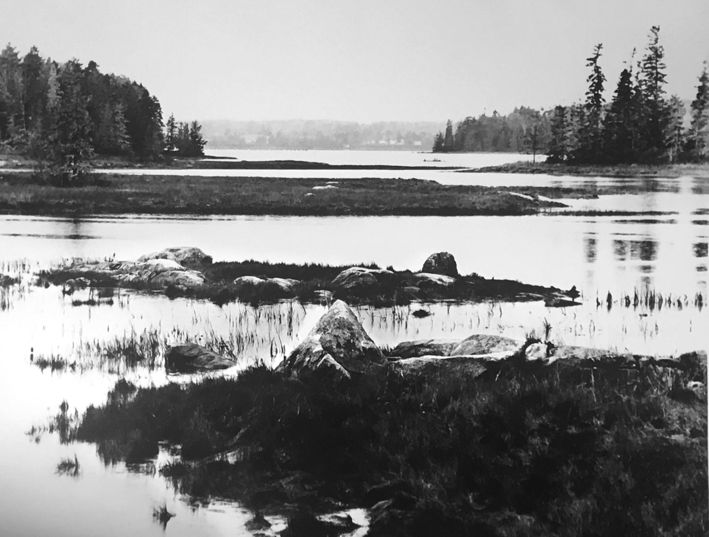 Acadia National Park #2