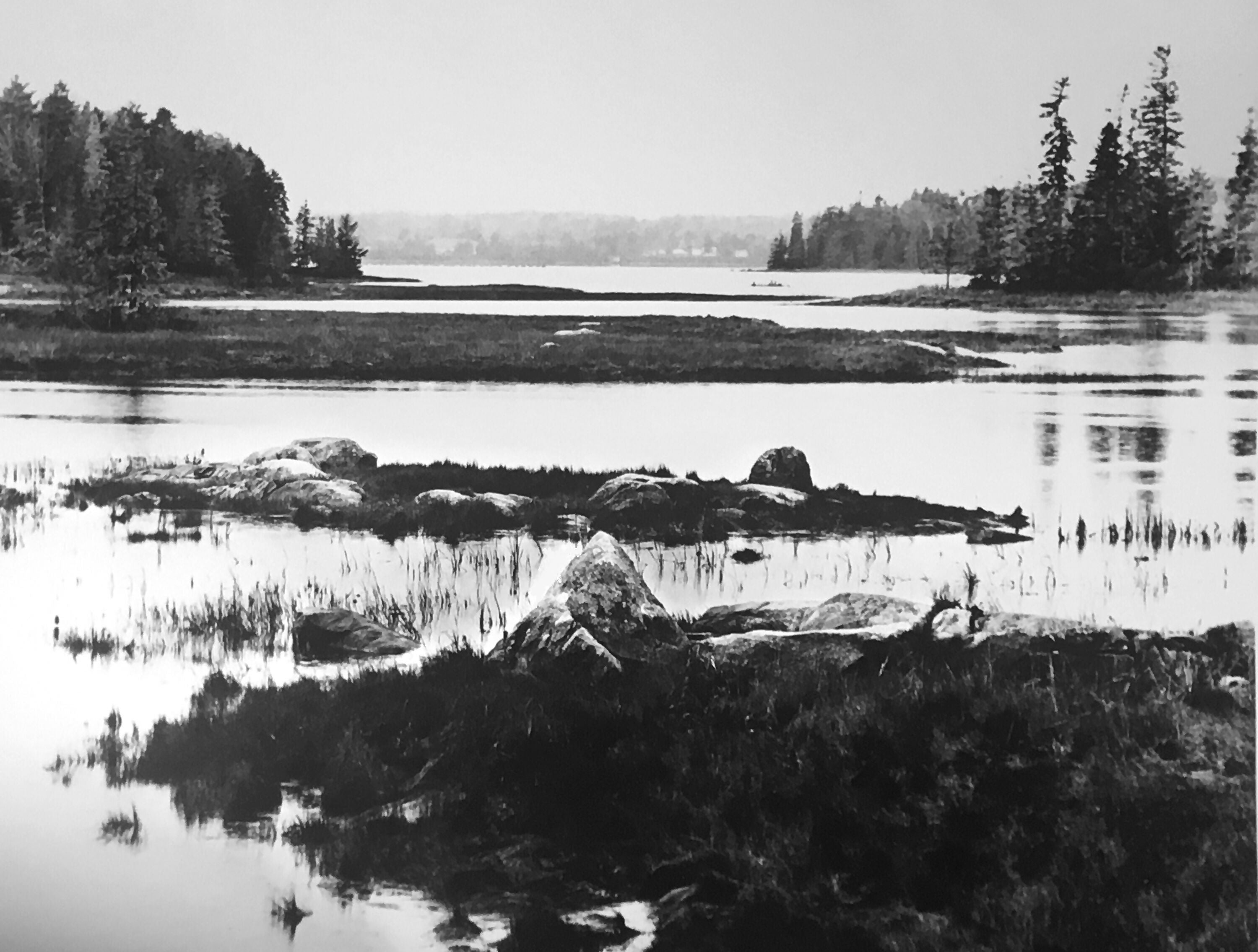 Acadia National Park #2