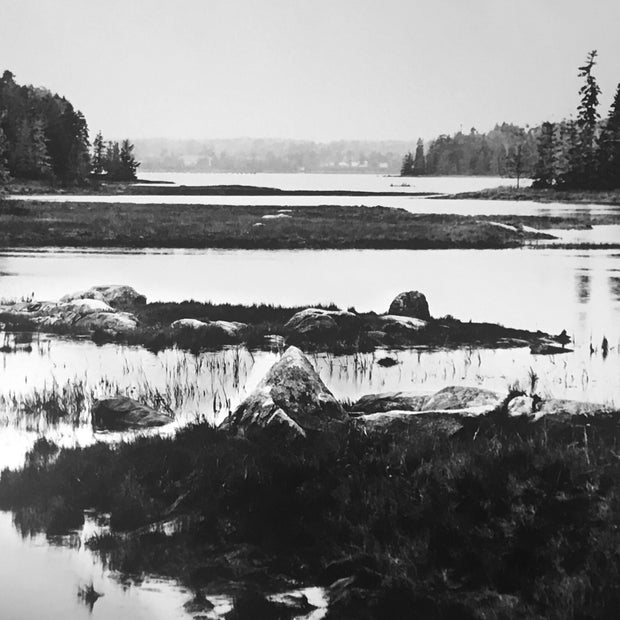 Acadia National Park #2