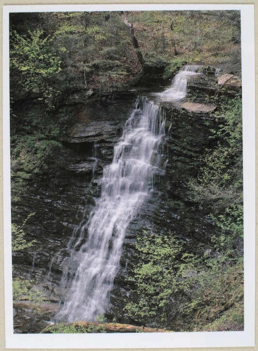 1071