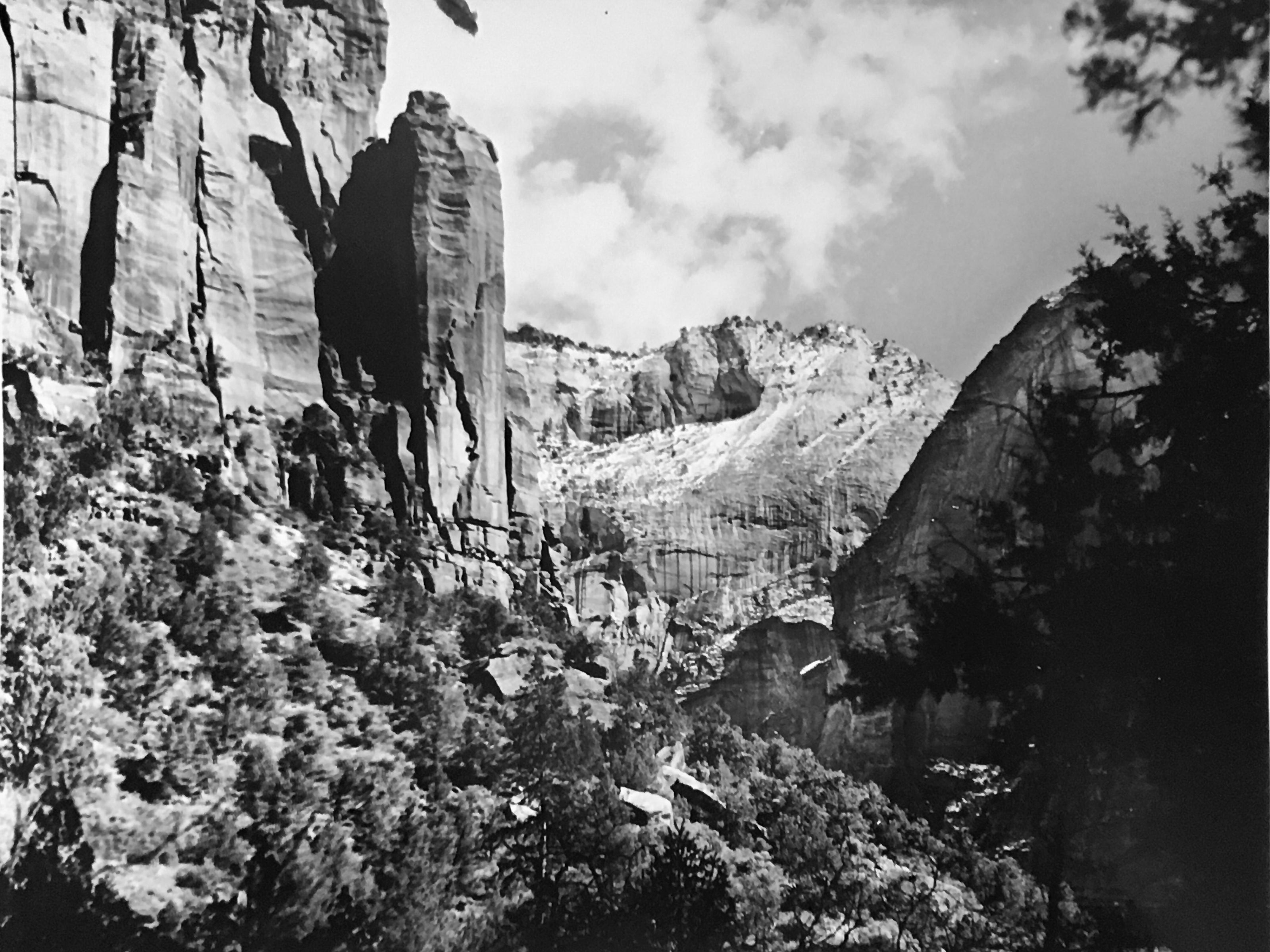 Zion National Park