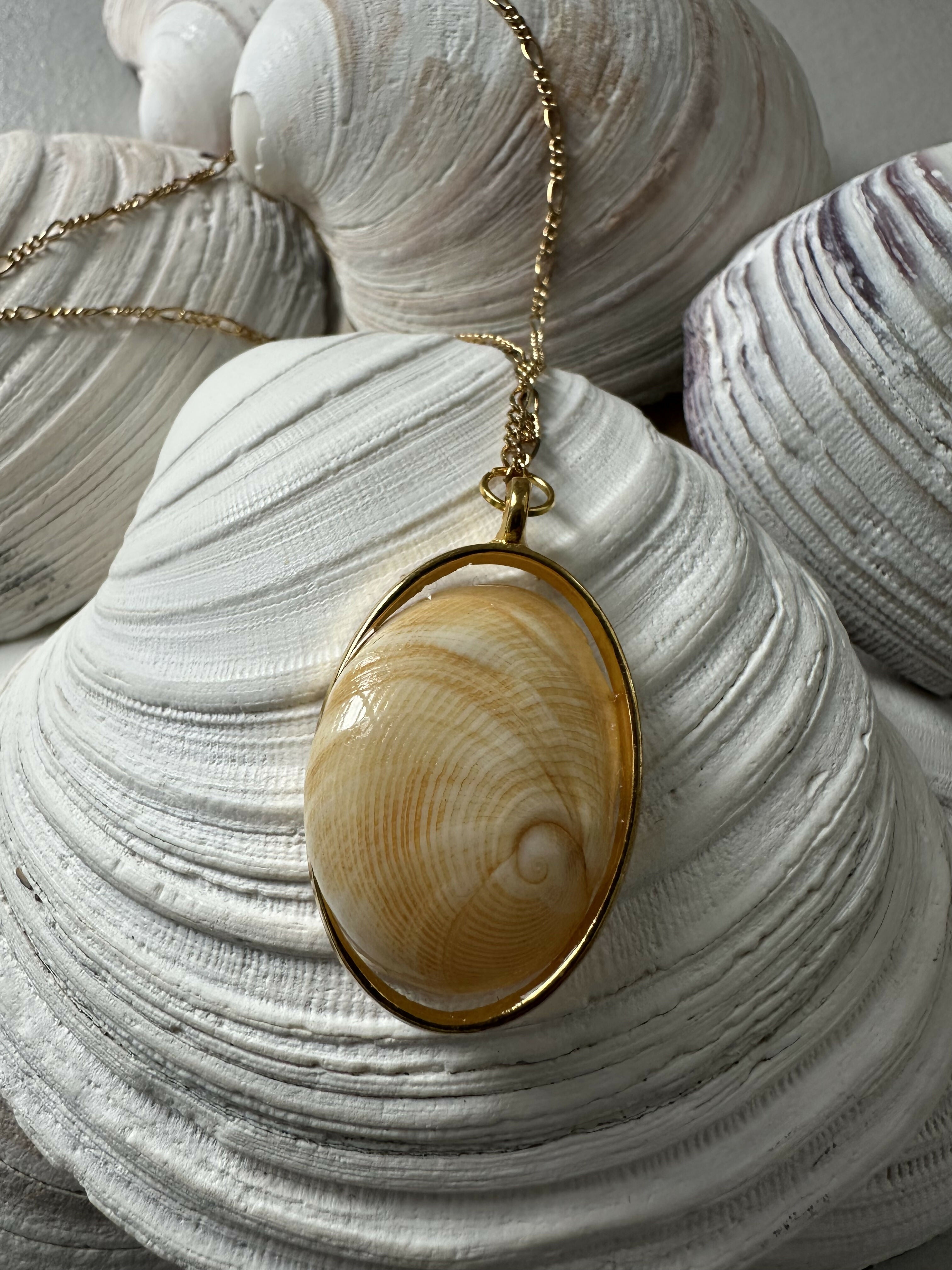 Baby Ear Shell Pendant Necklace
