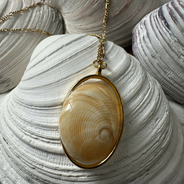 Baby Ear Shell Pendant Necklace