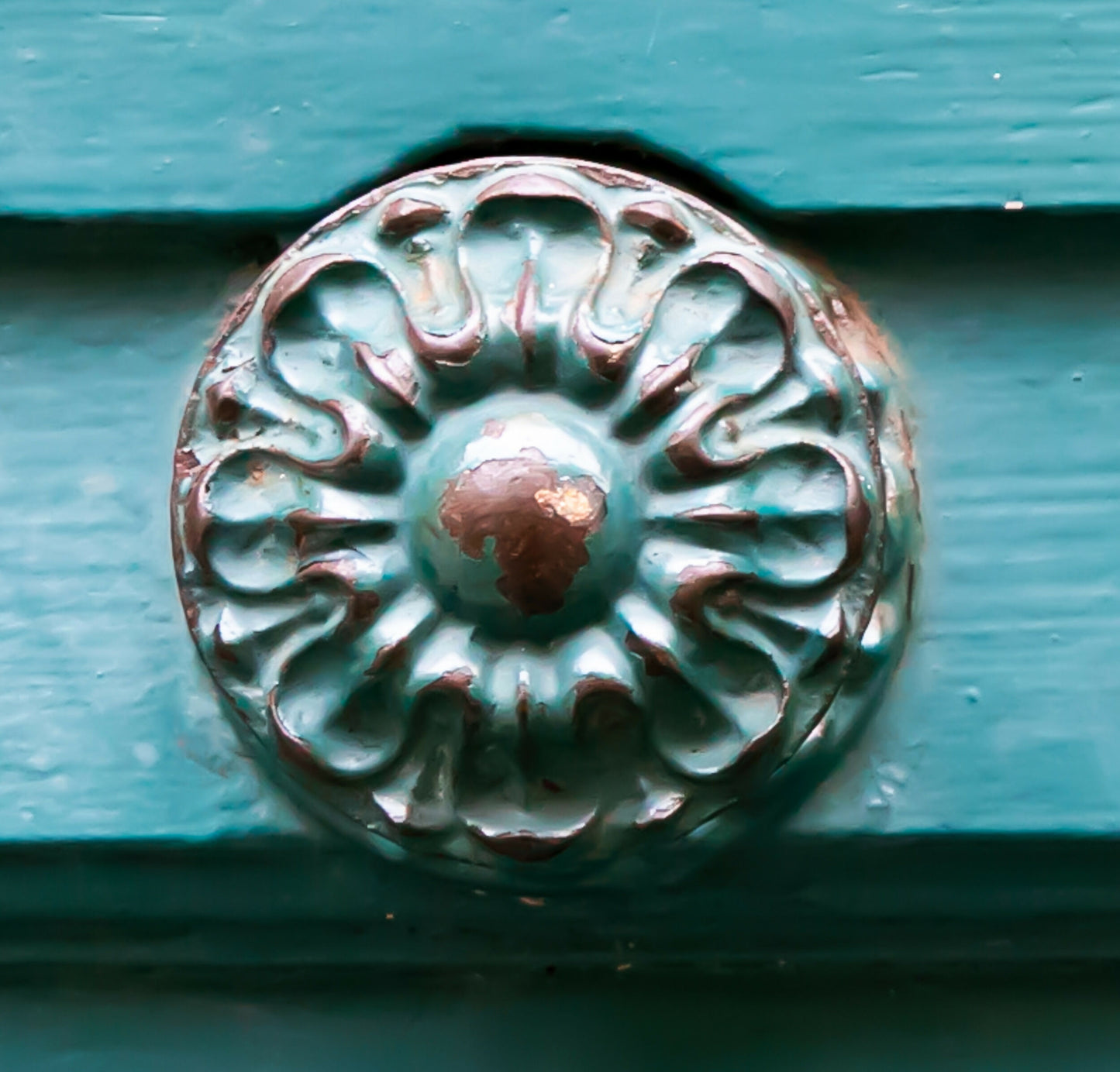 Vintage Green Door Button (Chartres)