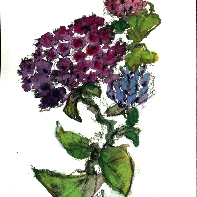 Fall Flowers, 5 x7 unframed