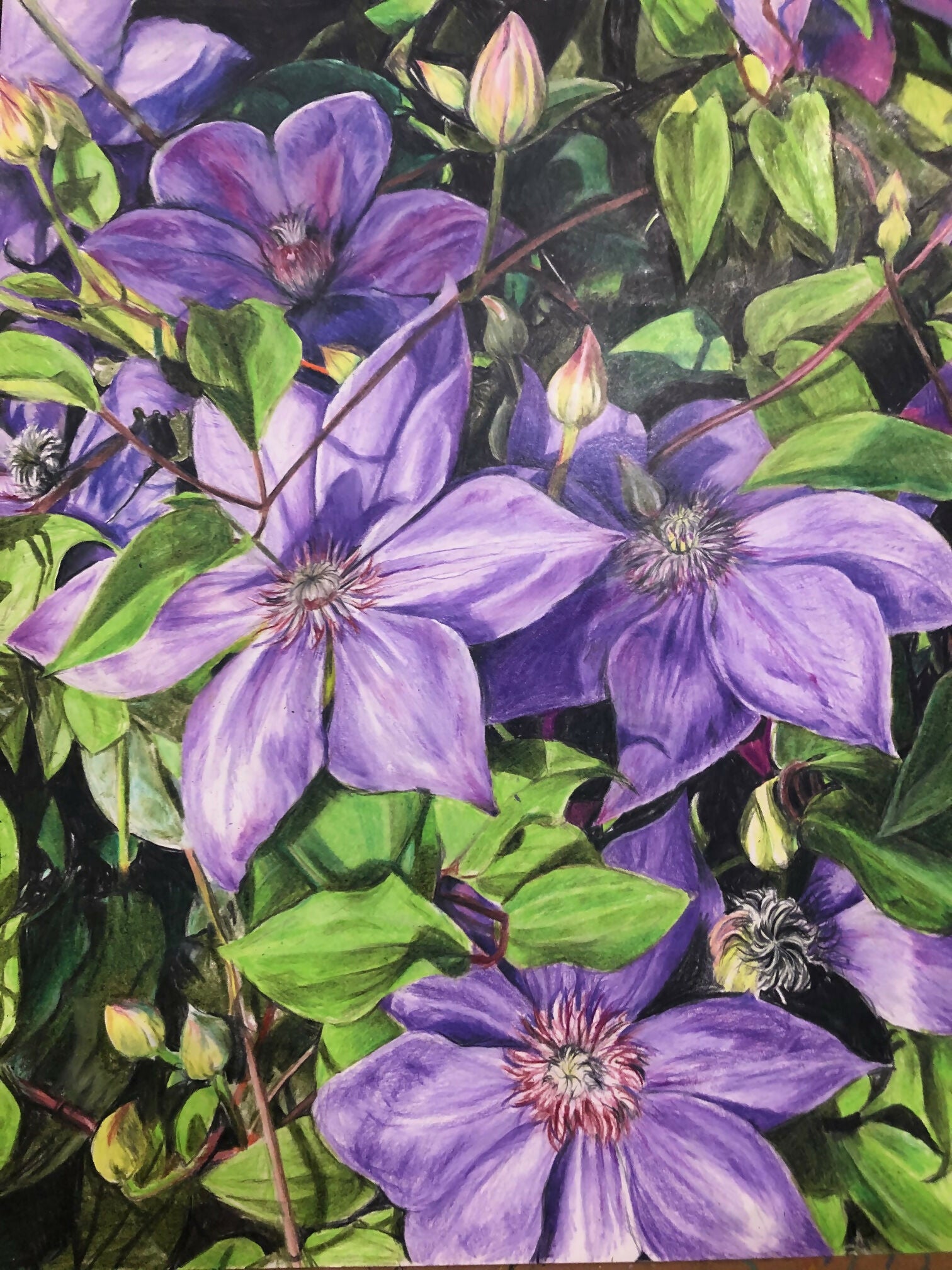 Purple