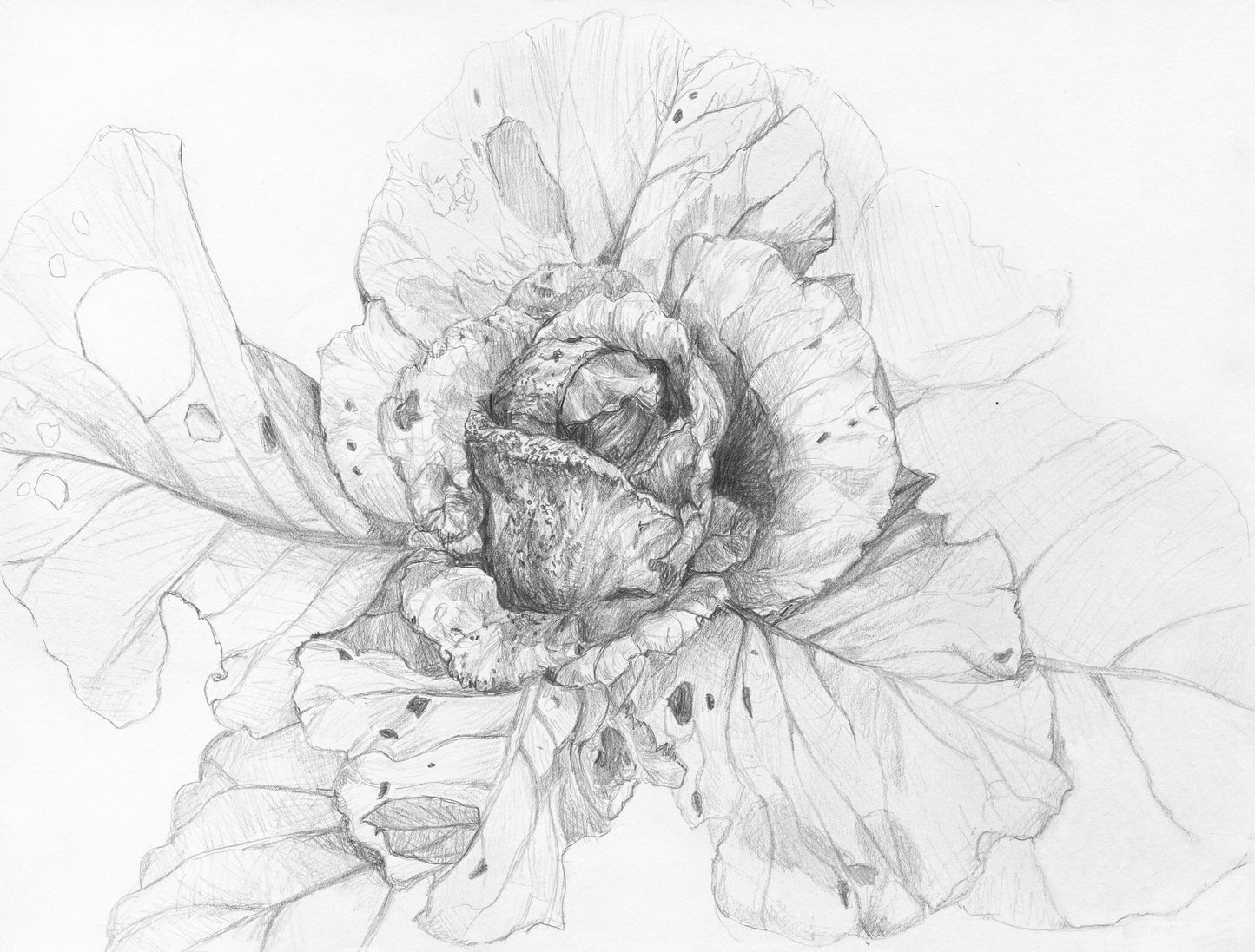 "Centered" framed print