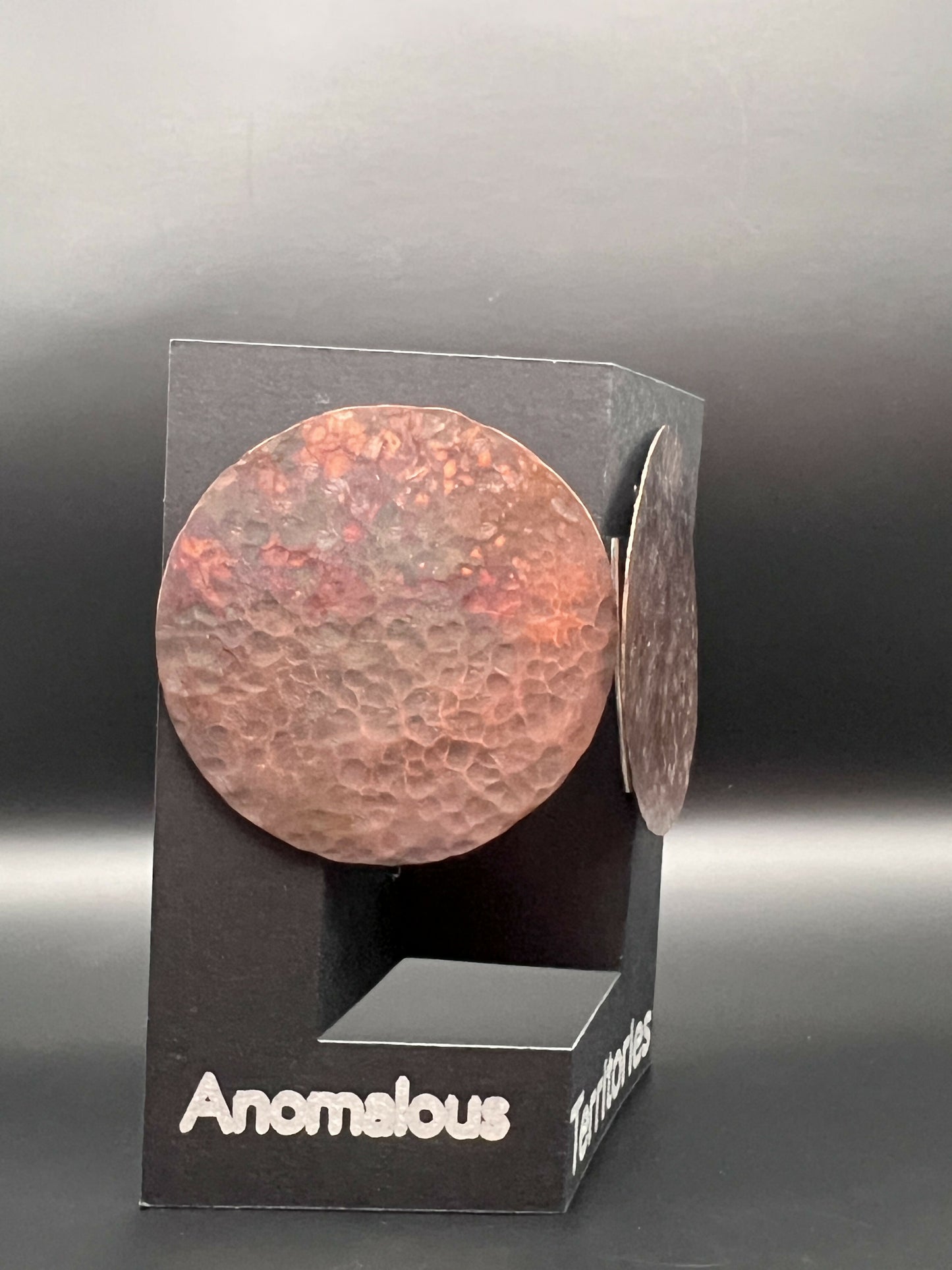 Hammered Copper Shield Earring