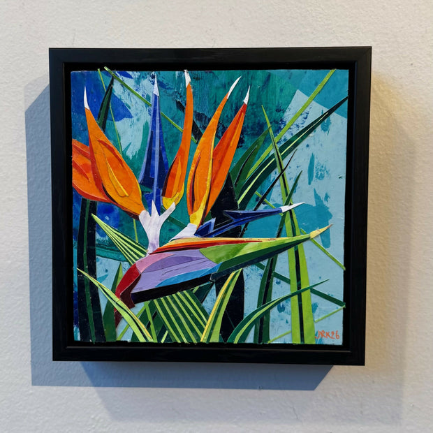 Bird of Paradise 3