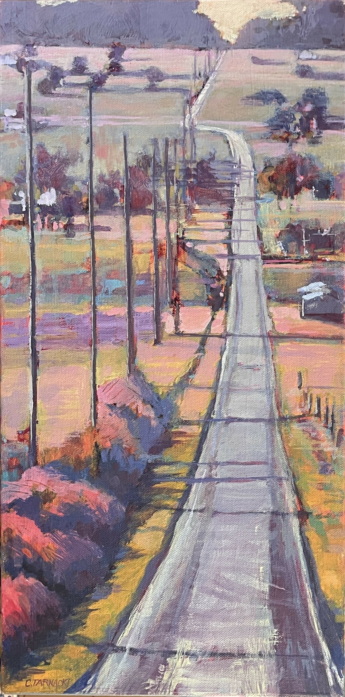 THE LONG VIEW