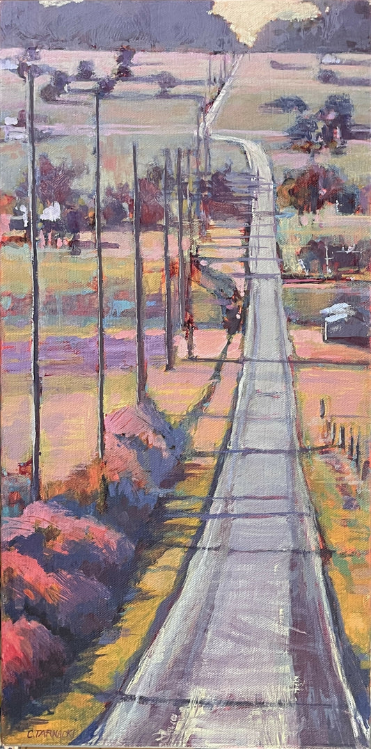THE LONG VIEW