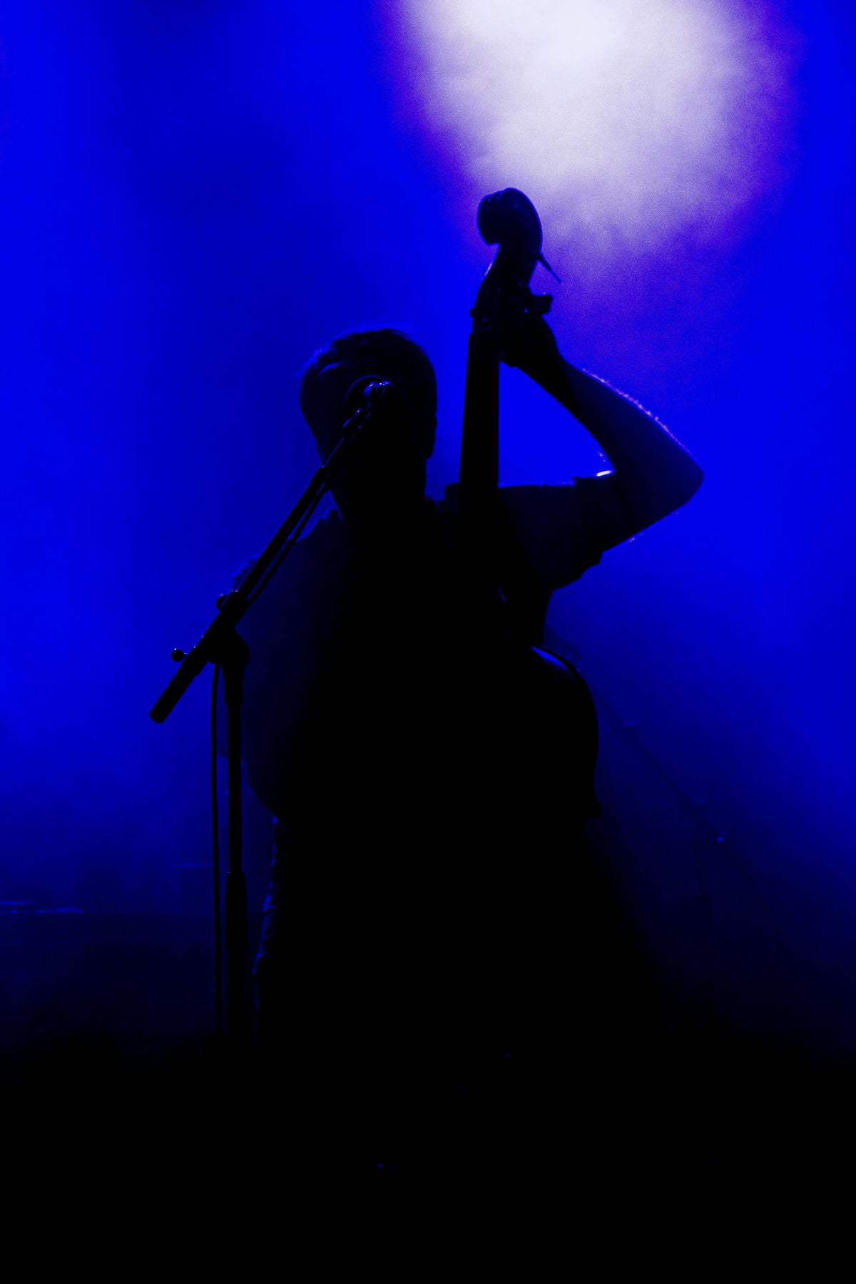 Upright Bassplayer