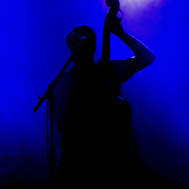 Upright Bassplayer