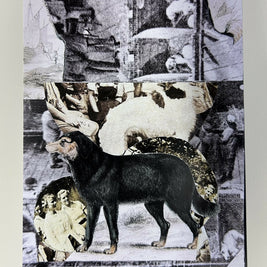 Black Dog