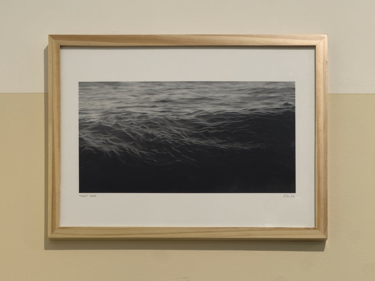 Swell (2025)