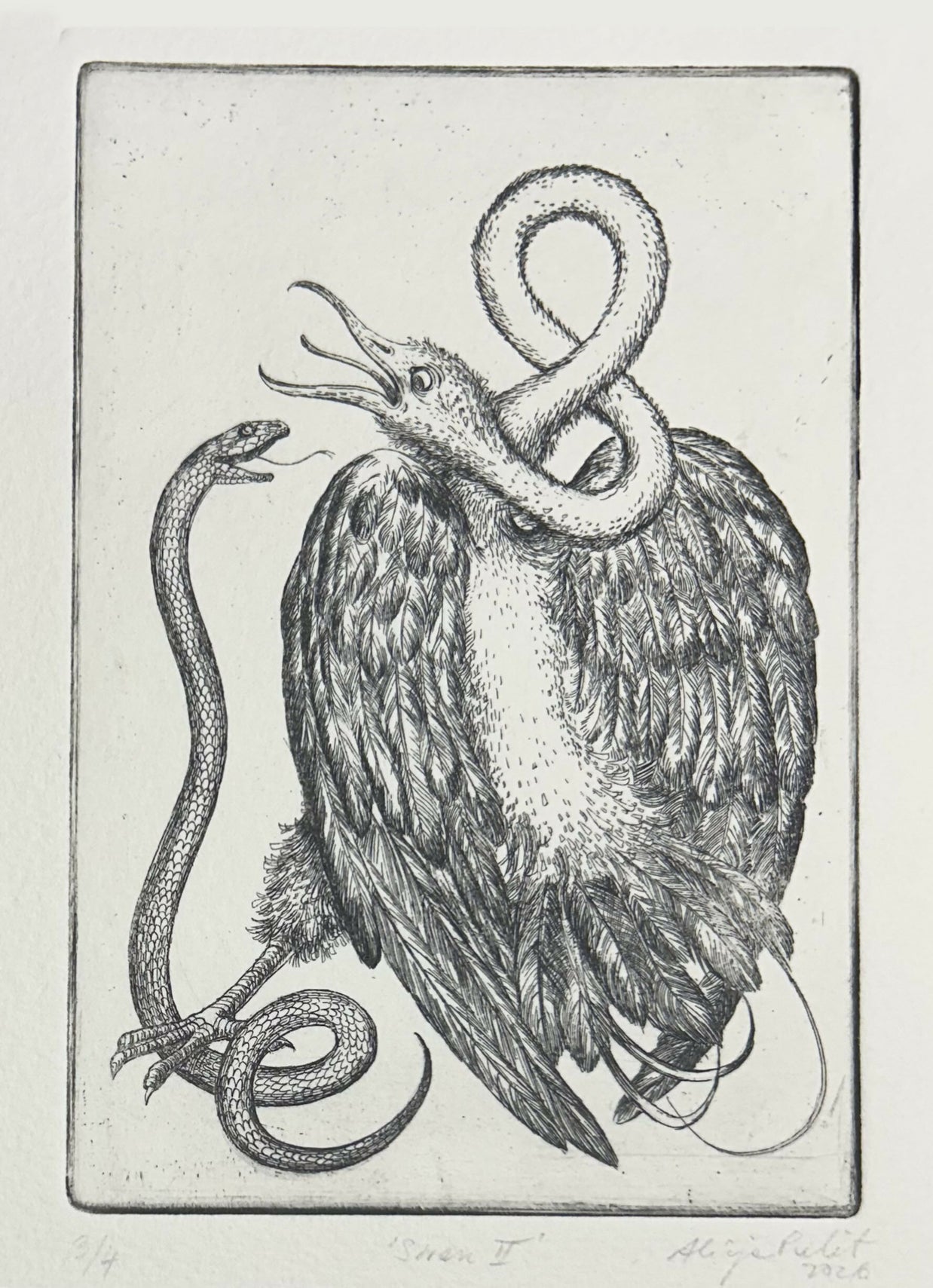 Swan II