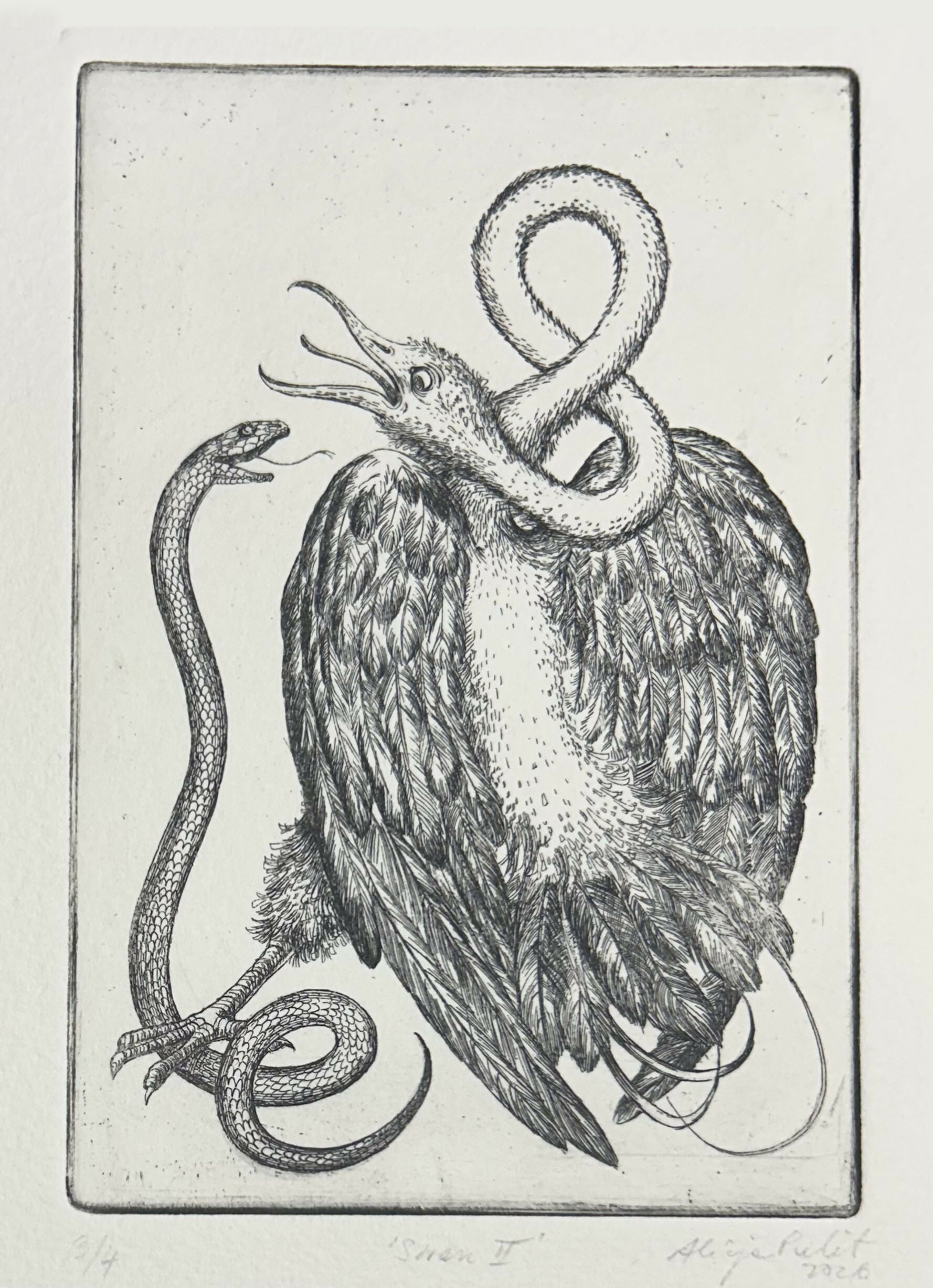 Swan II