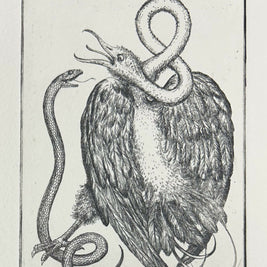 Swan II