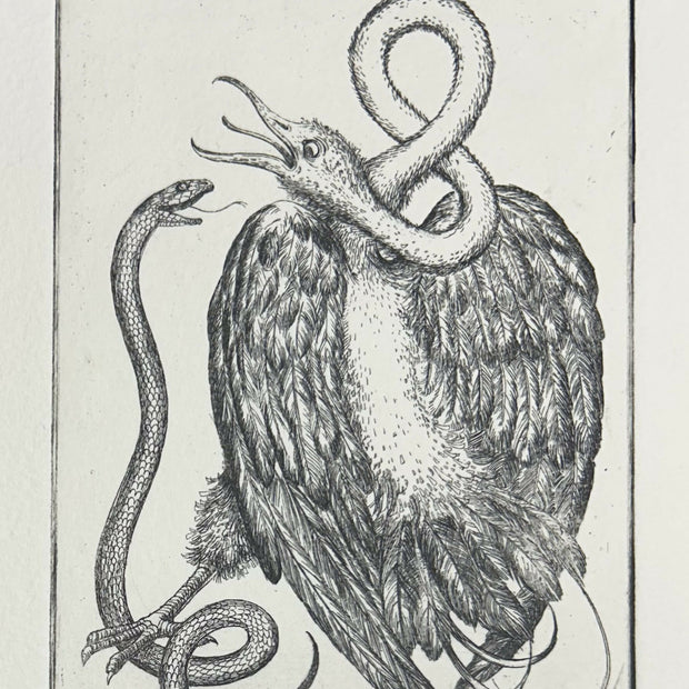 Swan II
