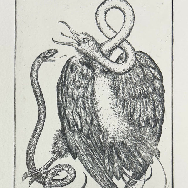 Swan II