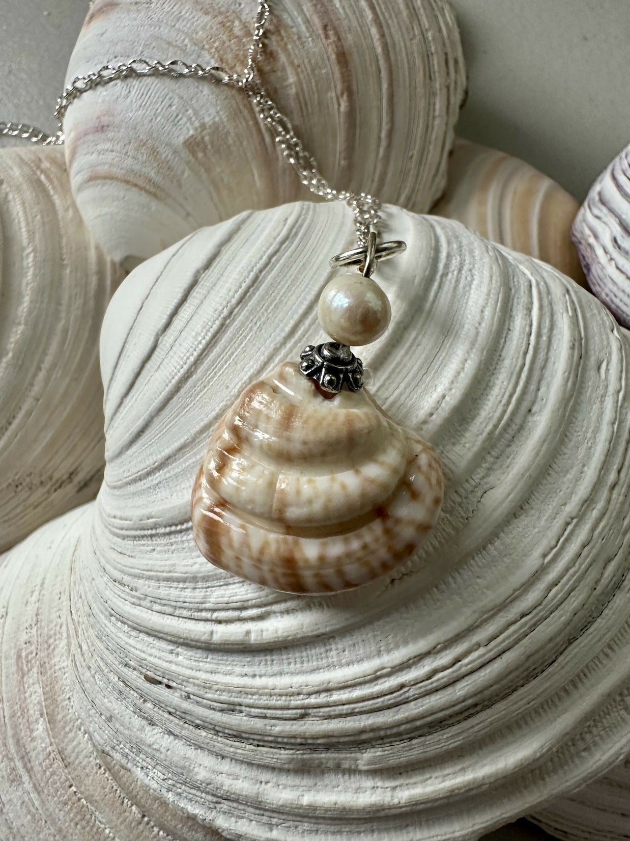 King Venus Shell Pendant Necklace