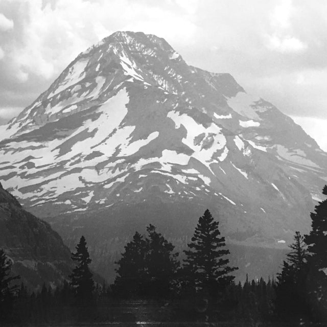 Glacier National Park #1