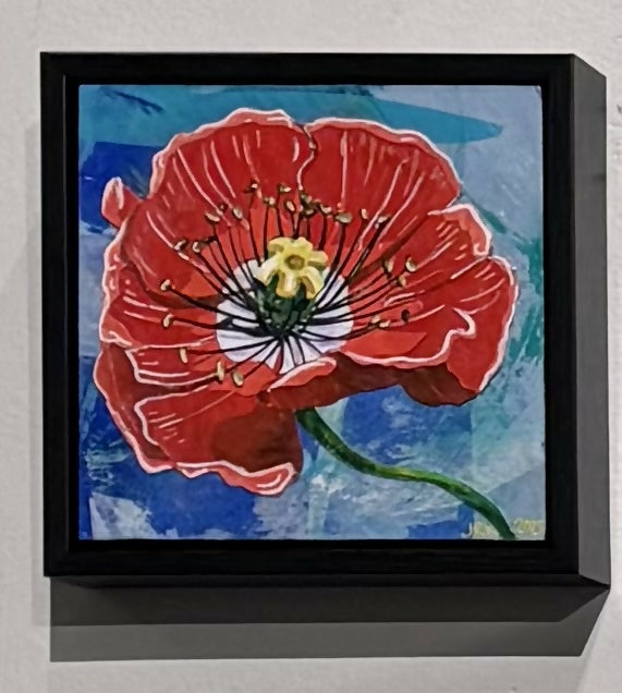 Poppy Against the Sky