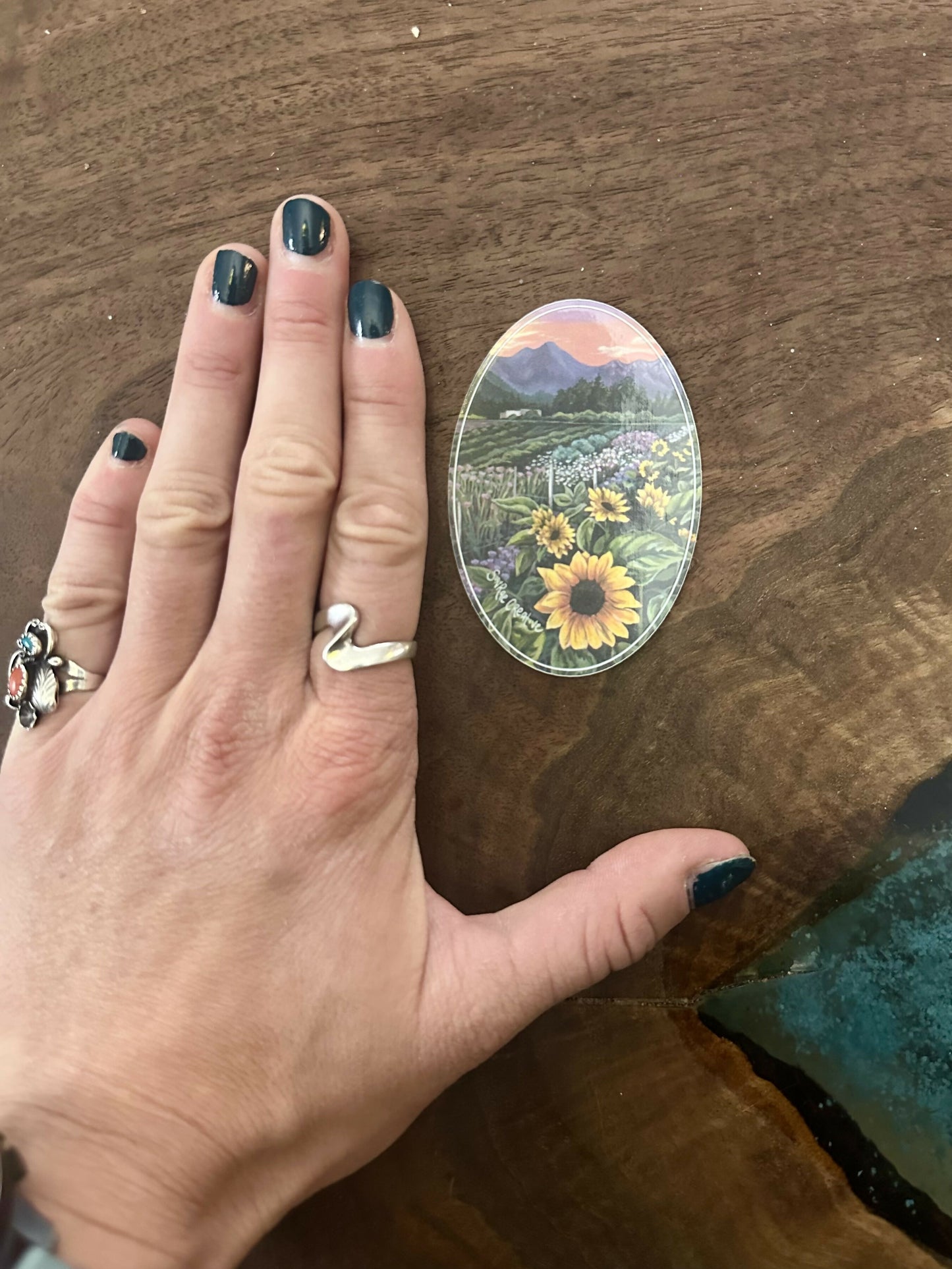 SunRae Creative Stickers