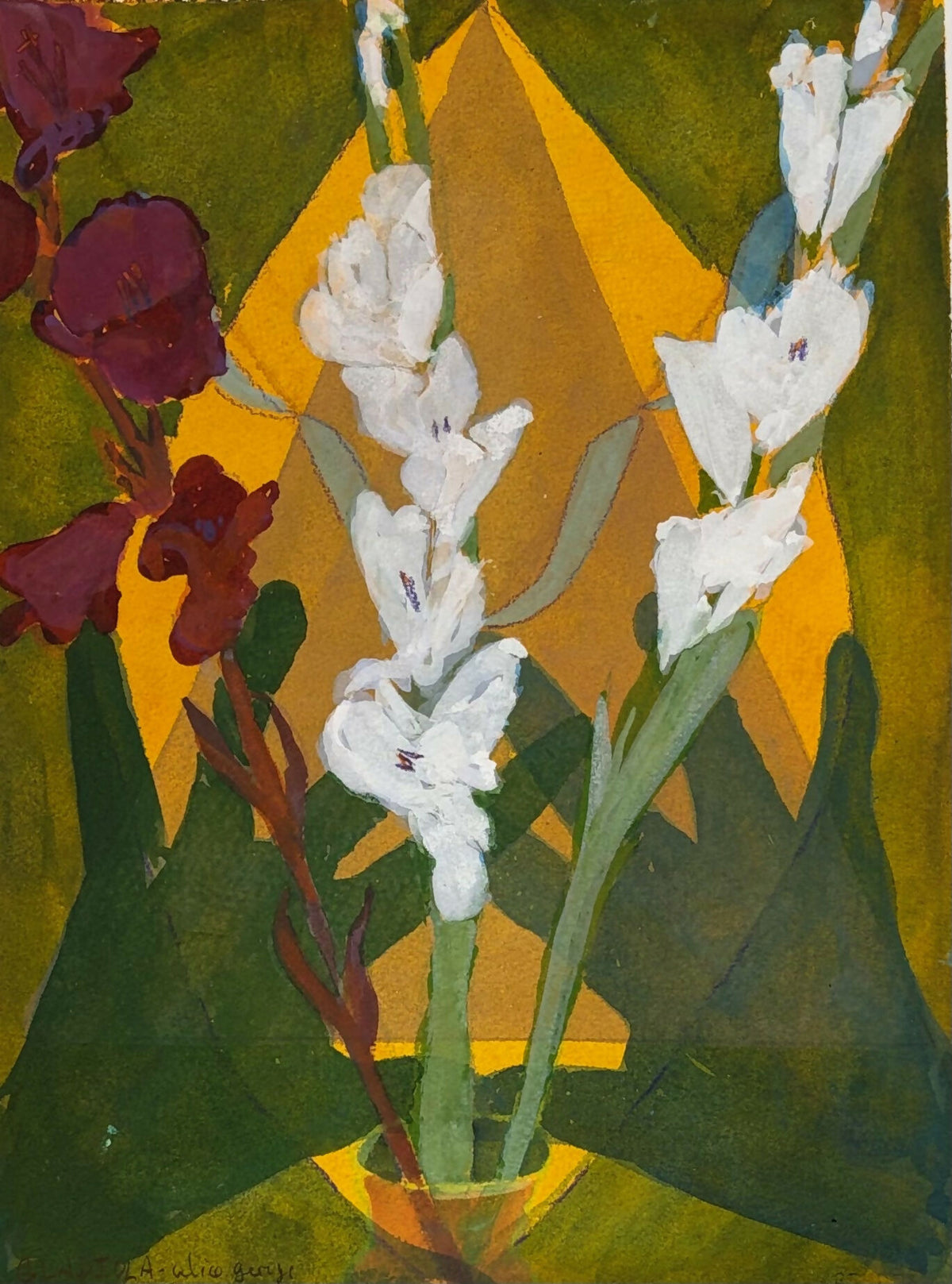 Gladiola