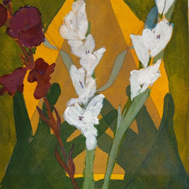 Gladiola